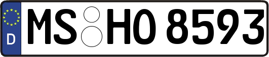MS-HO8593