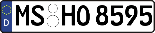 MS-HO8595