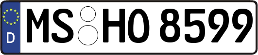 MS-HO8599