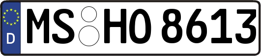 MS-HO8613