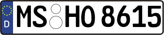 MS-HO8615