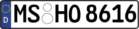 MS-HO8616