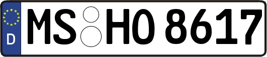 MS-HO8617