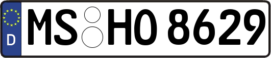 MS-HO8629
