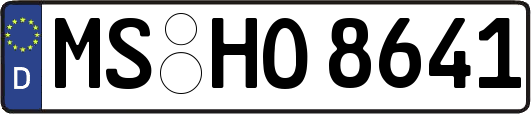 MS-HO8641
