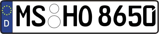 MS-HO8650