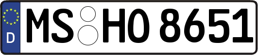 MS-HO8651