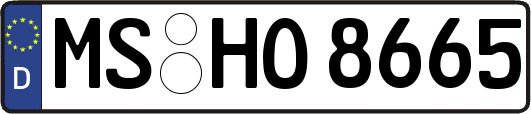 MS-HO8665