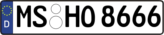 MS-HO8666