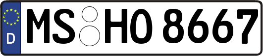 MS-HO8667