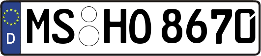 MS-HO8670