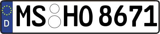 MS-HO8671