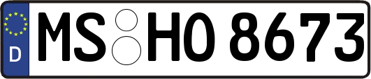 MS-HO8673