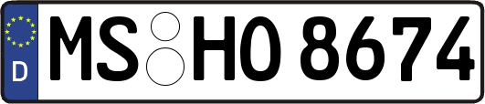 MS-HO8674