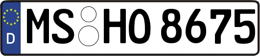 MS-HO8675