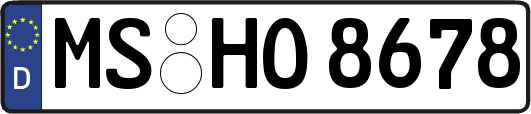 MS-HO8678