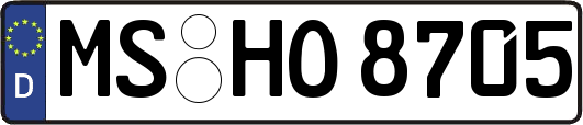 MS-HO8705