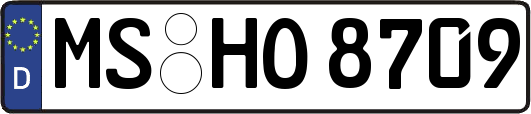 MS-HO8709