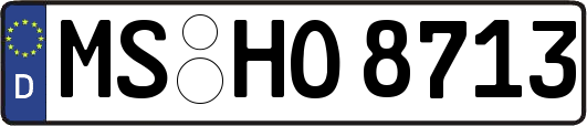 MS-HO8713