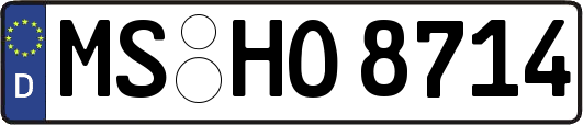 MS-HO8714