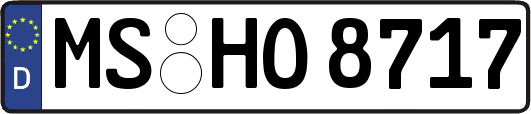 MS-HO8717