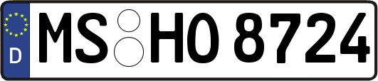 MS-HO8724