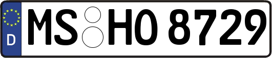 MS-HO8729