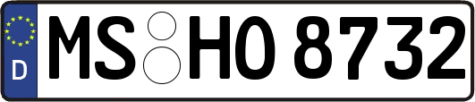 MS-HO8732