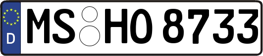 MS-HO8733