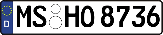 MS-HO8736