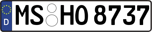 MS-HO8737