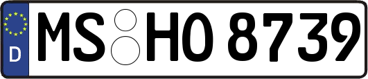 MS-HO8739