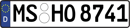 MS-HO8741