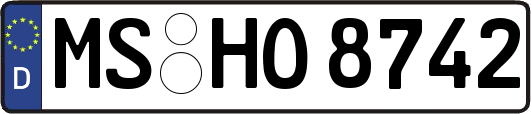 MS-HO8742