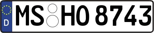 MS-HO8743