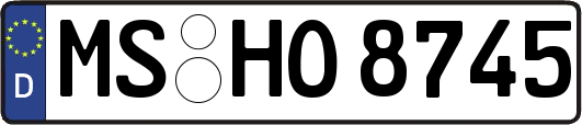 MS-HO8745
