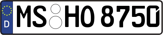 MS-HO8750