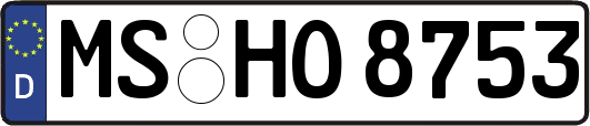 MS-HO8753