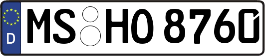 MS-HO8760
