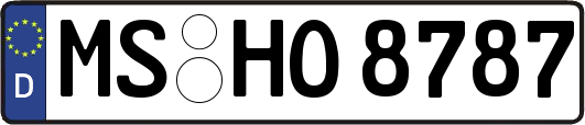 MS-HO8787