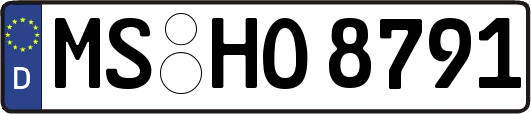 MS-HO8791