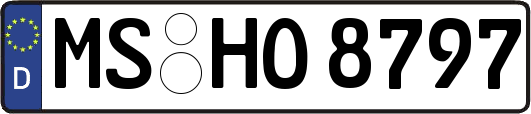 MS-HO8797