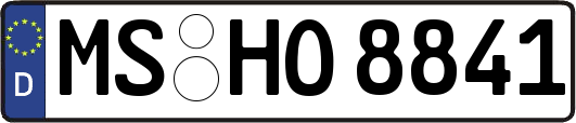 MS-HO8841