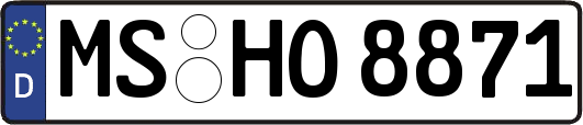 MS-HO8871