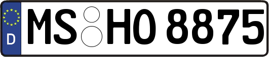 MS-HO8875