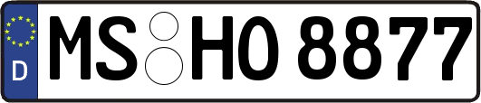 MS-HO8877