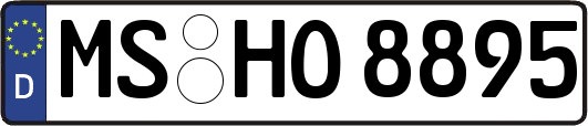MS-HO8895