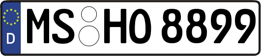 MS-HO8899