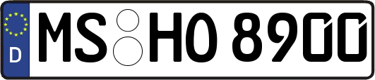MS-HO8900