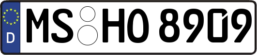 MS-HO8909